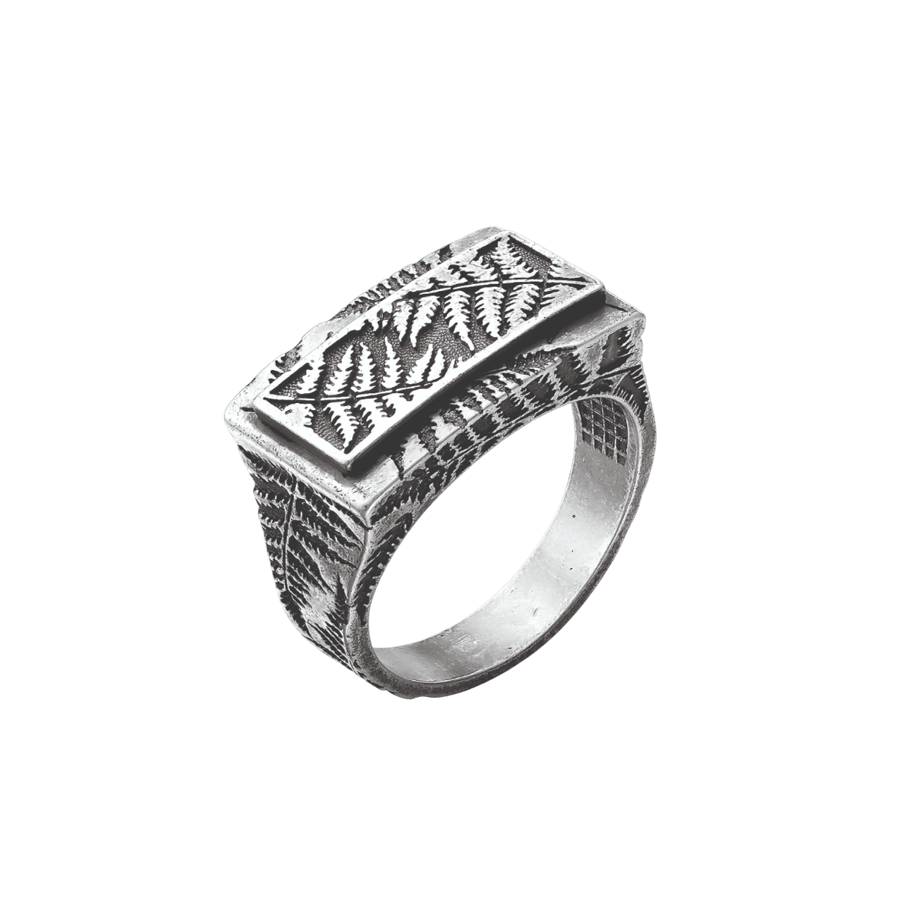 21000001-Photoroom Печатка Папоротник — изображение 1