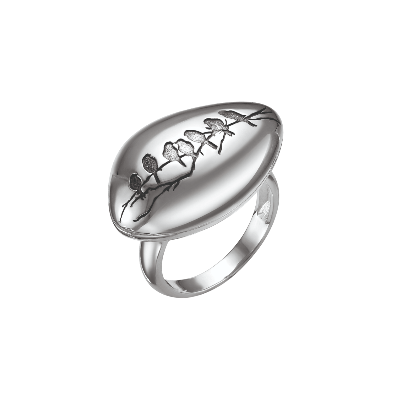 51000001-Photoroom Колько Птички на ветке — изображение 1