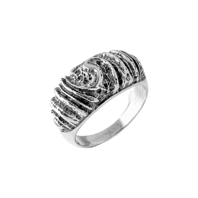 11000021-2_прозр Кольцо Туманность — изображение 1