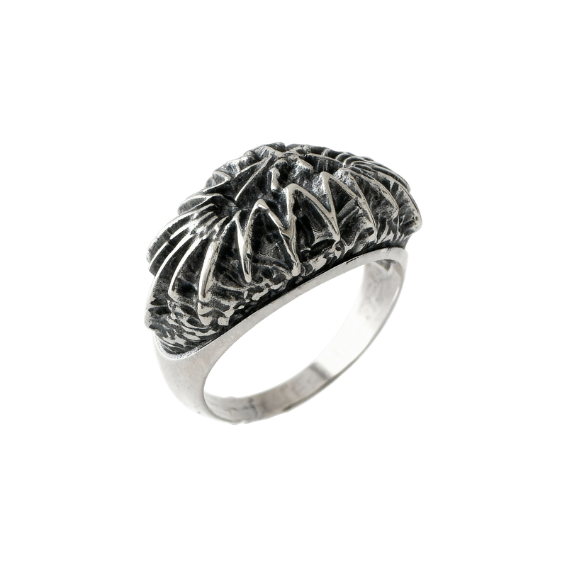 11000021-4_прозр Кольцо Сияние — изображение 1